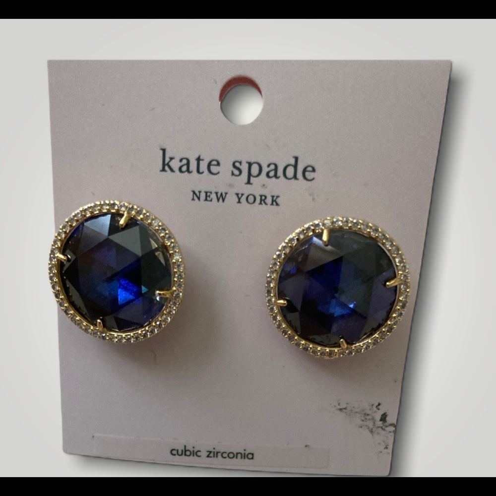 Blue Stoned Earrings